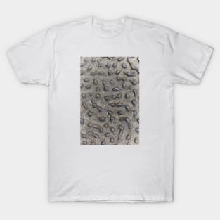 Spotted Volcanic Rock Formation T-Shirt